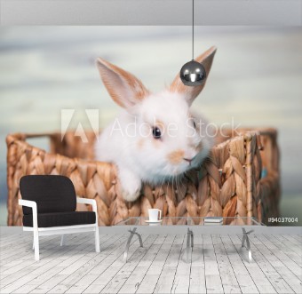 Picture of Curious baby bunny gazing from a basket